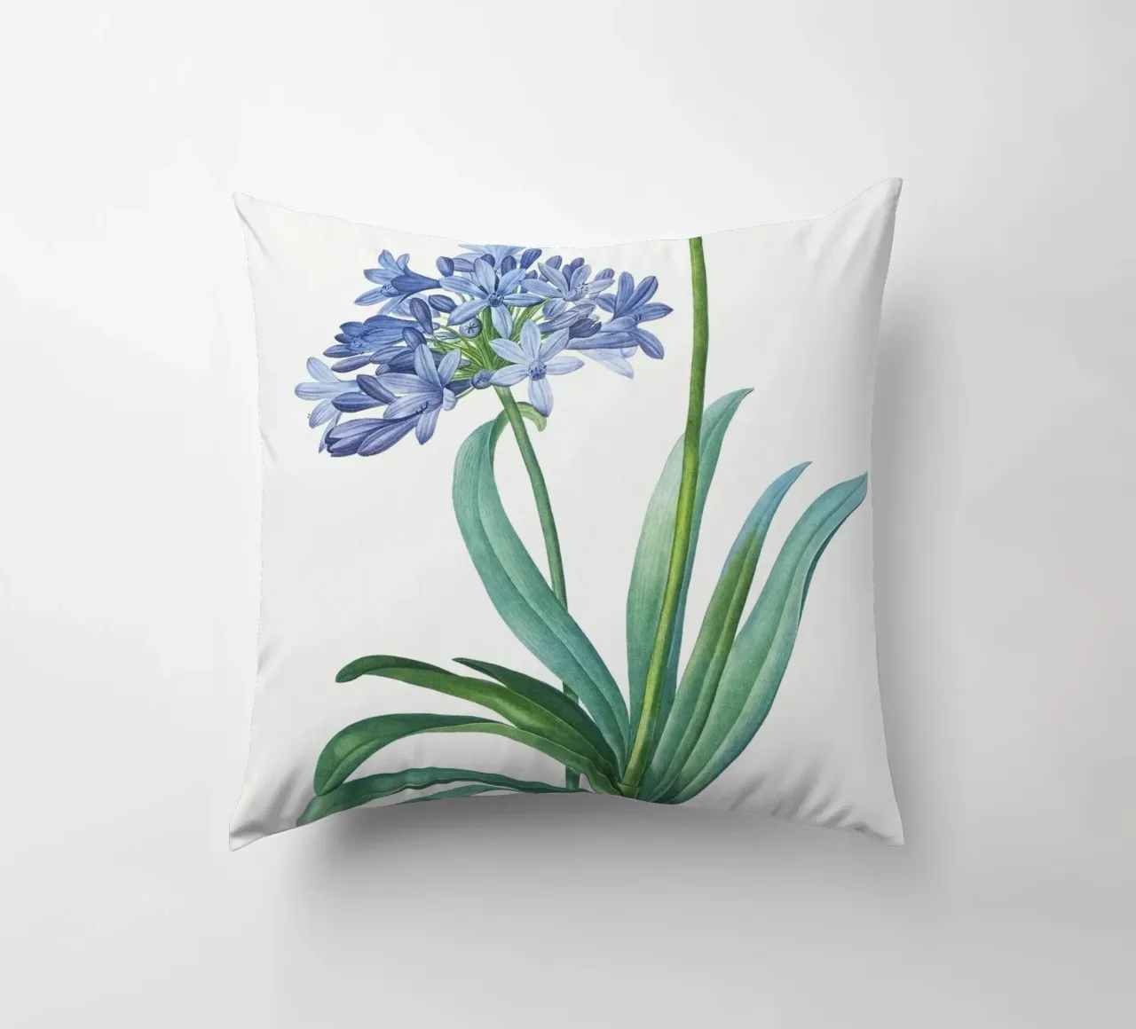Giglio del Nilo, fiore viola Illustrazione botanica cuscino da Pretty Flowers Vintage Botanicals