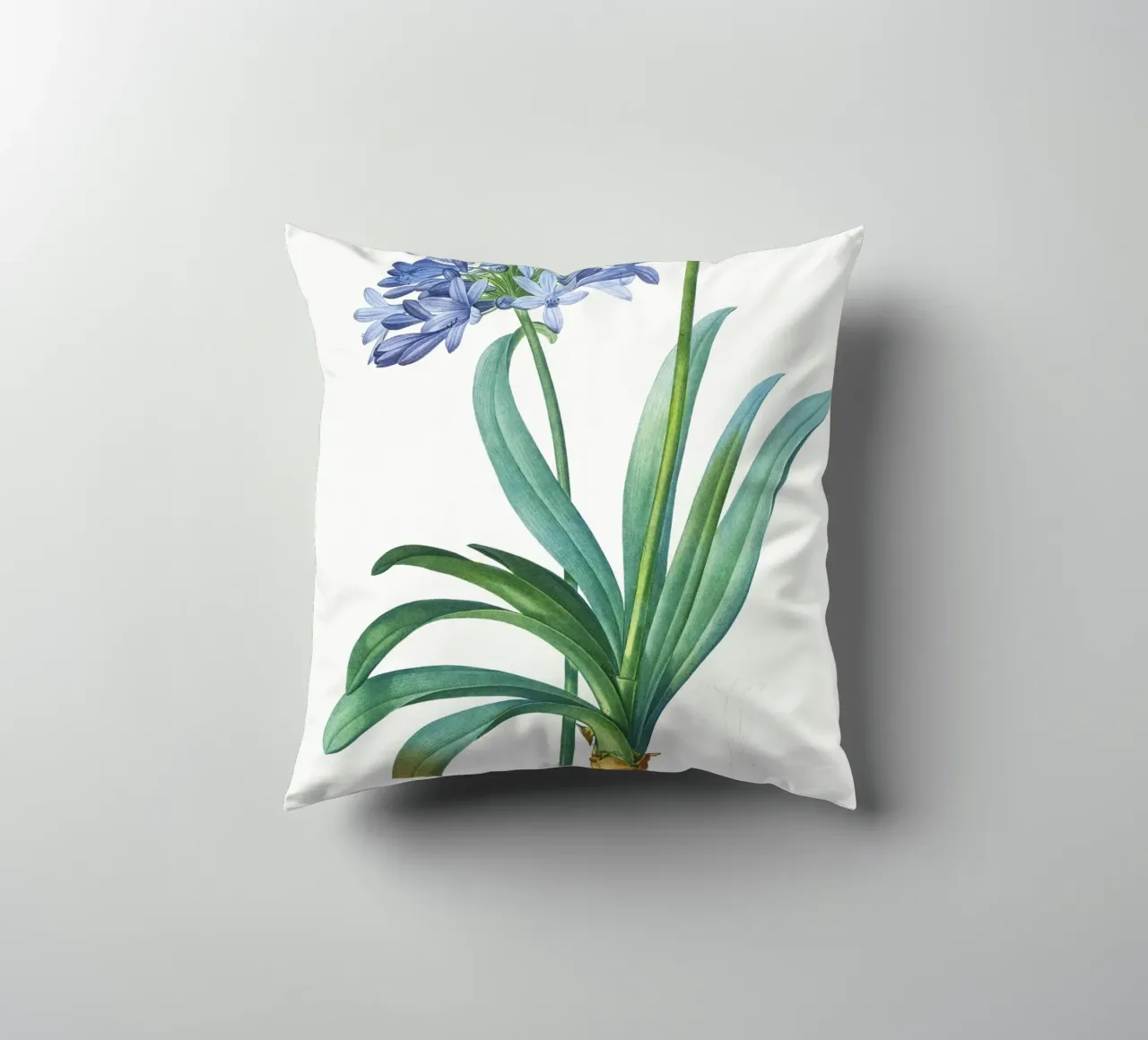 Giglio del Nilo, fiore viola Illustrazione botanica cuscino da Pretty Flowers Vintage Botanicals