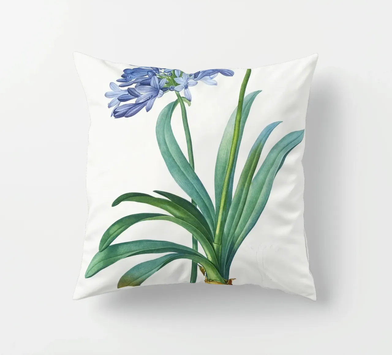 Giglio del Nilo, fiore viola Illustrazione botanica cuscino da Pretty Flowers Vintage Botanicals