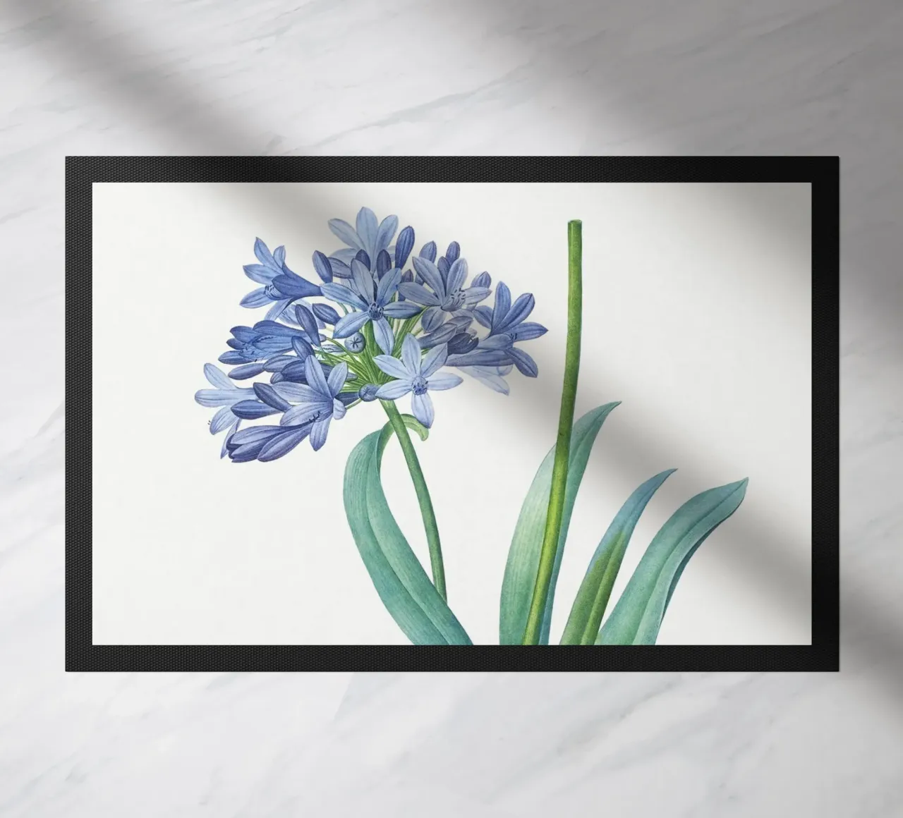 Giglio del Nilo, fiore viola Illustrazione botanica zerbino da Pretty Flowers Vintage Botanicals