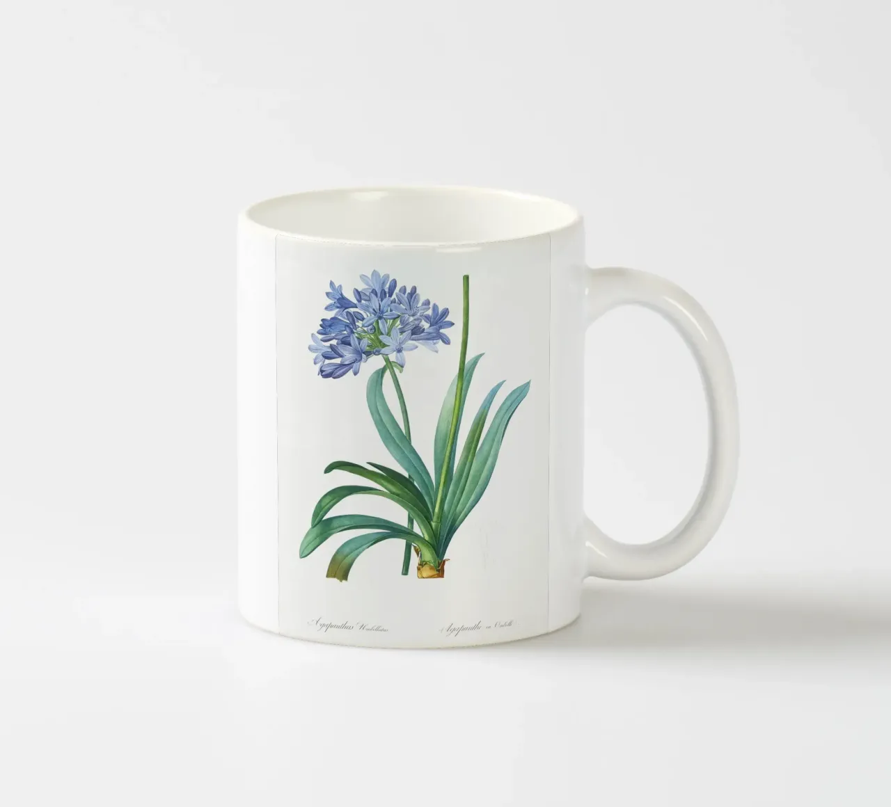 Giglio del Nilo, fiore viola Illustrazione botanica tazza in ceramica da Pretty Flowers Vintage Botanicals