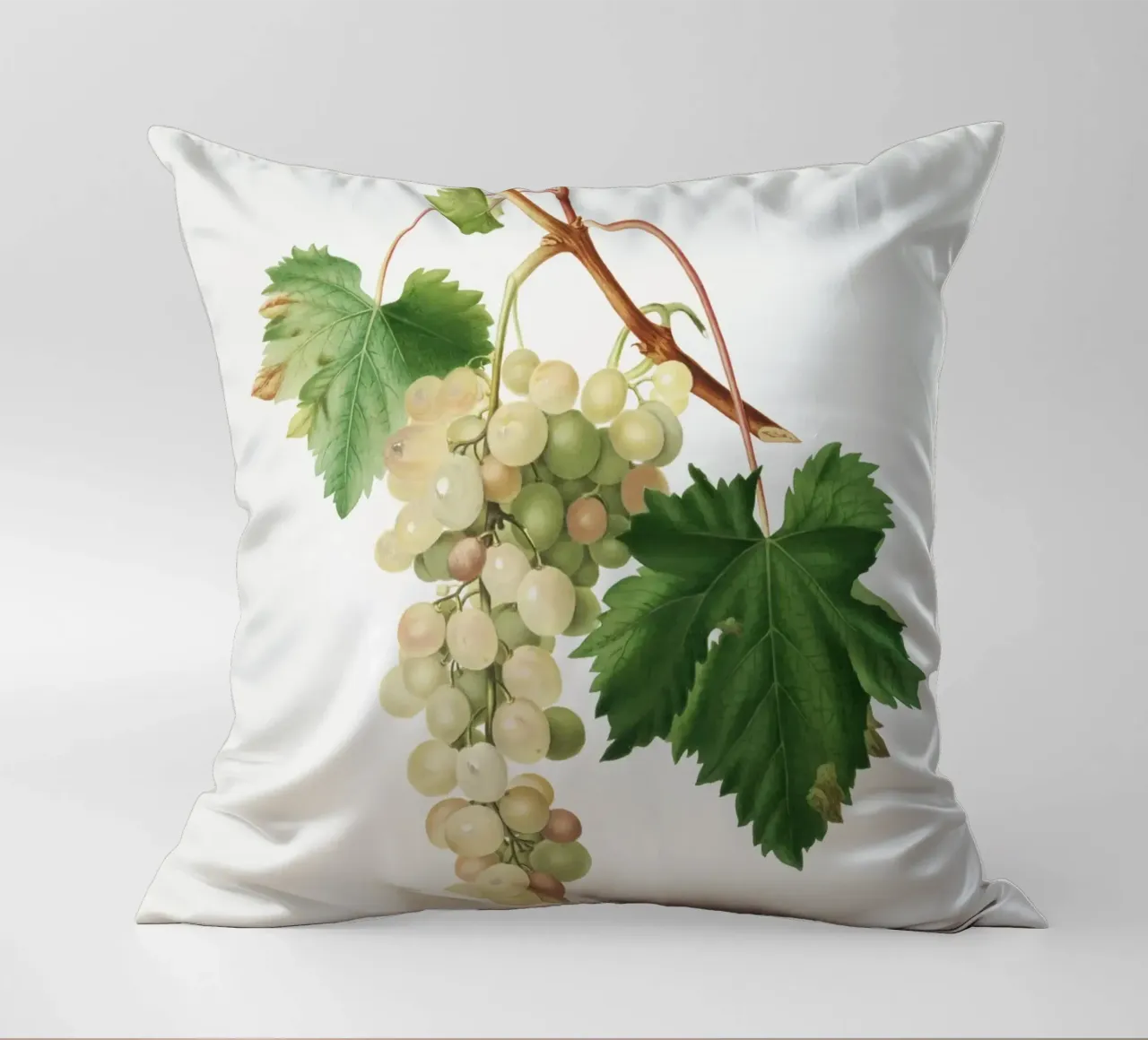 Muscat Grape Botanical Vintage Illustration cuscino da Pretty Flowers Vintage Botanicals