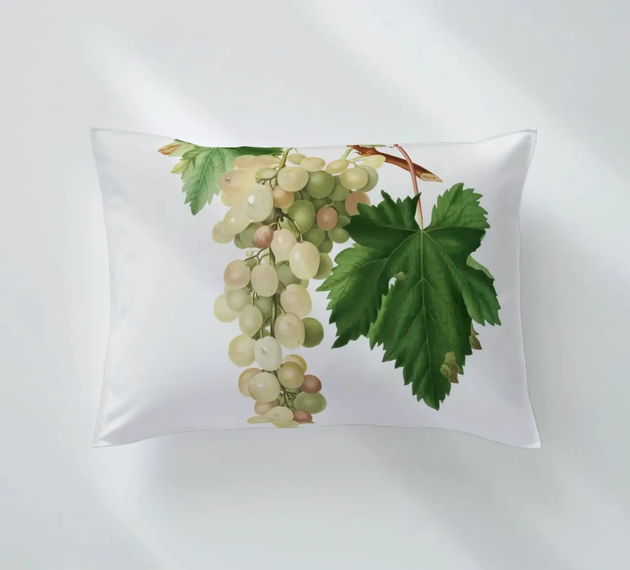 Muscat Grape Botanical Vintage Illustration cuscino da Pretty Flowers Vintage Botanicals
