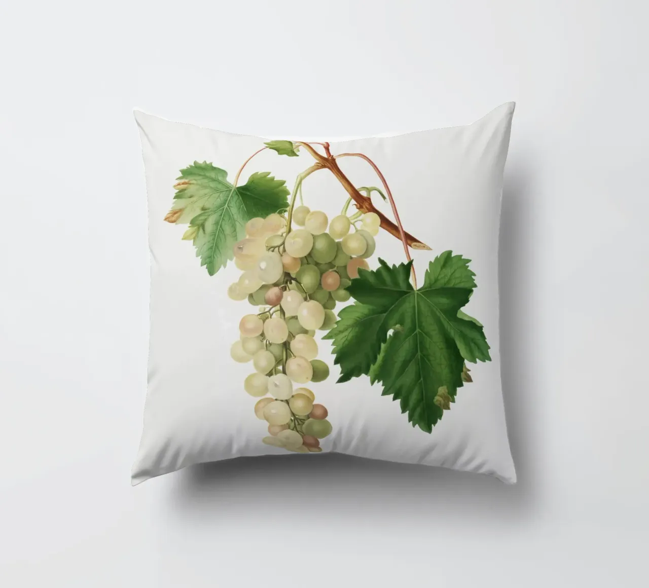Muscat Grape Botanical Vintage Illustration cuscino da Pretty Flowers Vintage Botanicals