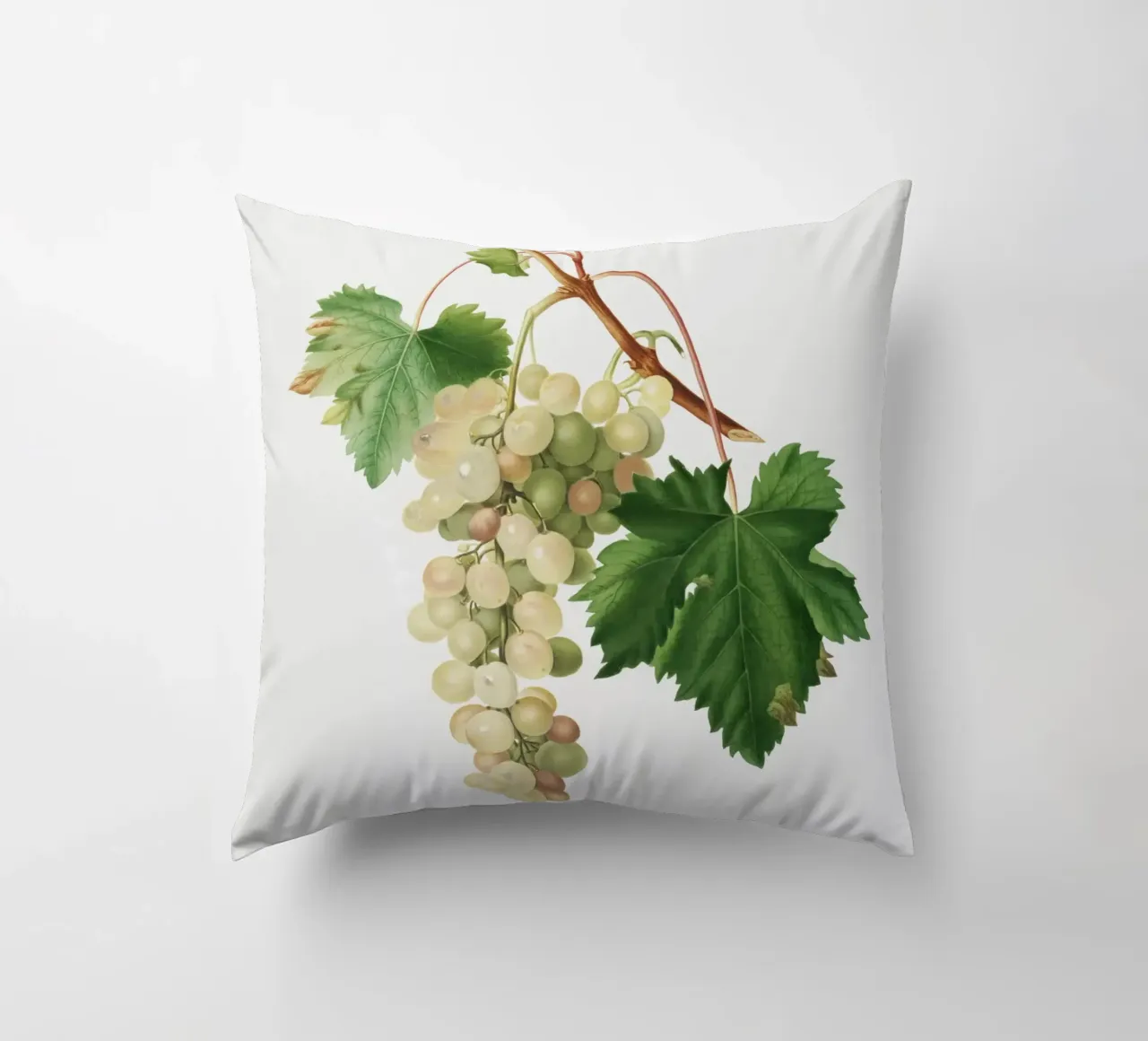 Muscat Grape Botanical Vintage Illustration cuscino da Pretty Flowers Vintage Botanicals