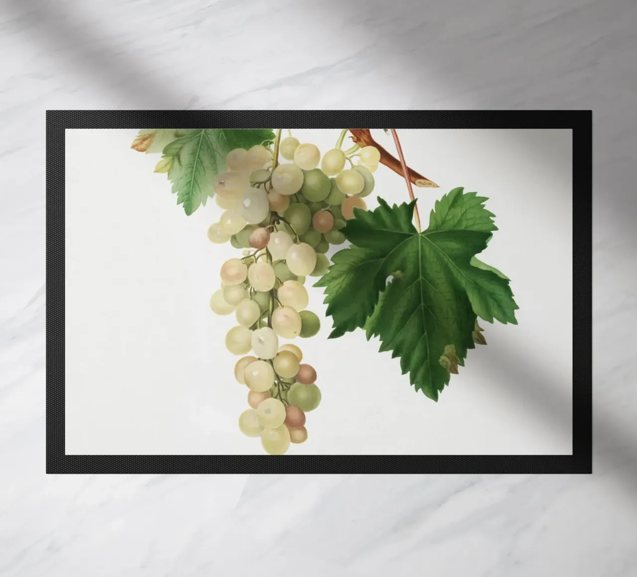 Muscat Grape Botanical Vintage Illustration zerbino da Pretty Flowers Vintage Botanicals