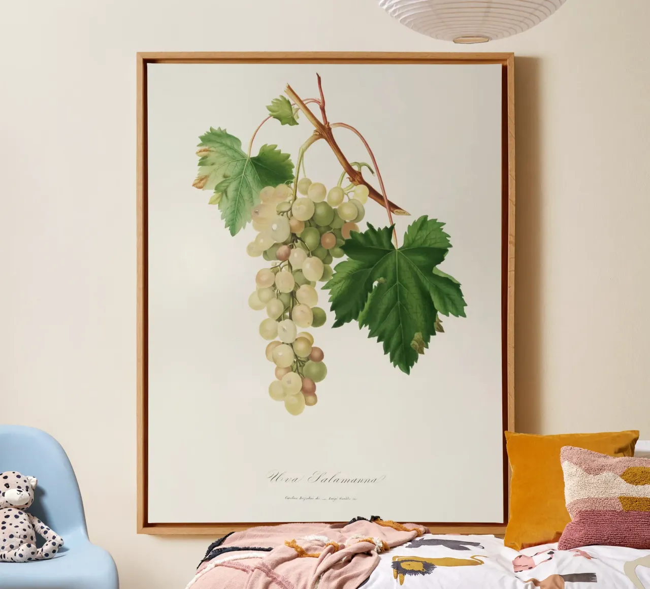 Muscat Grape Botanical Vintage Illustration tela con Cornice a cassetta da Pretty Flowers Vintage Botanicals