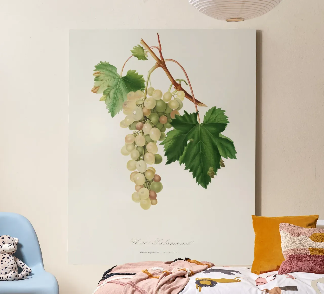 Muscat Grape Botanical Vintage Illustration tela con Cornice a cassetta da Pretty Flowers Vintage Botanicals
