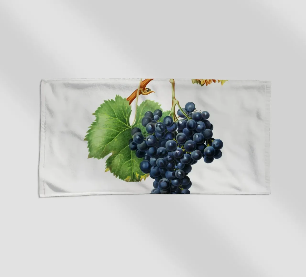 Purple Grape Spanna Botanical VIntage Illustration telo mare da Pretty Flowers Vintage Botanicals