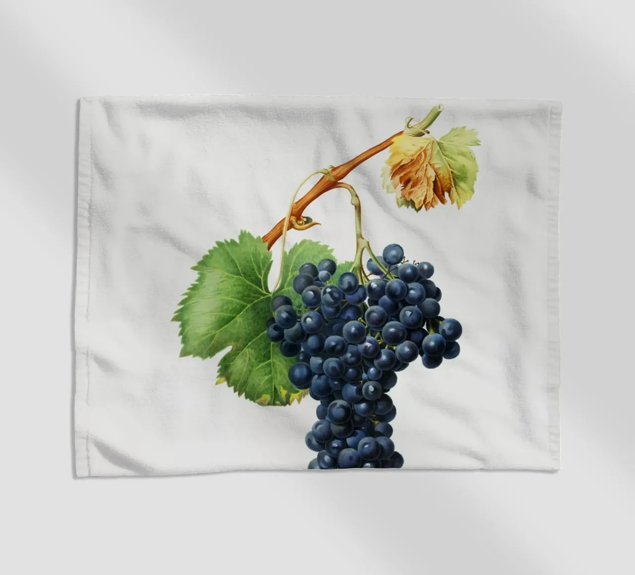 Purple Grape Spanna Botanical VIntage Illustration telo mare da Pretty Flowers Vintage Botanicals
