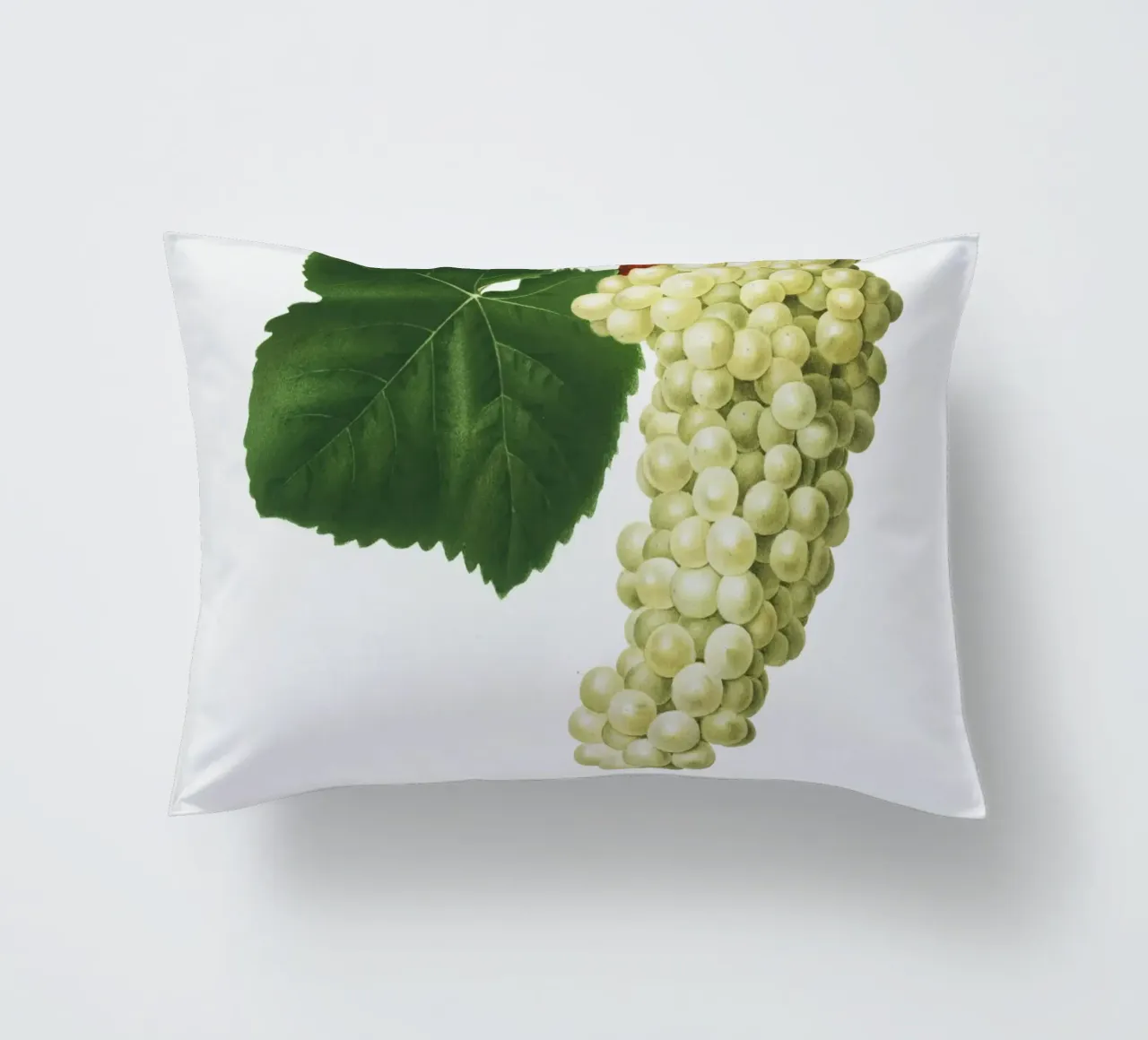 White Grape Vintage Botanical Illustration Print cuscino da Pretty Flowers Vintage Botanicals