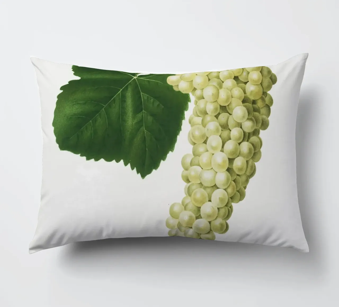 White Grape Vintage Botanical Illustration Print cuscino da Pretty Flowers Vintage Botanicals