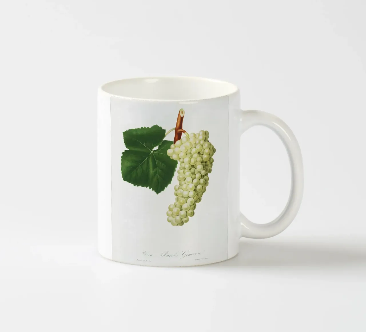 White Grape Vintage Botanical Illustration Print tazza in ceramica da Pretty Flowers Vintage Botanicals