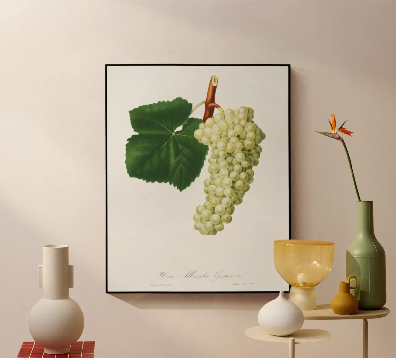 White Grape Vintage Botanical Illustration Print plexiglass da Pretty Flowers Vintage Botanicals