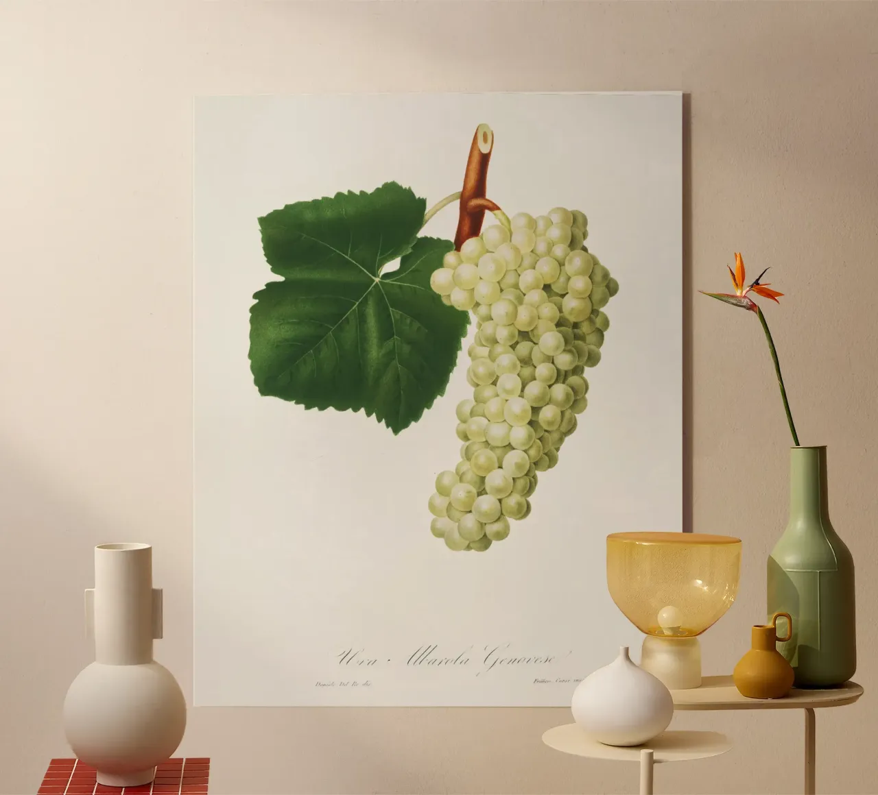 White Grape Vintage Botanical Illustration Print plexiglass da Pretty Flowers Vintage Botanicals