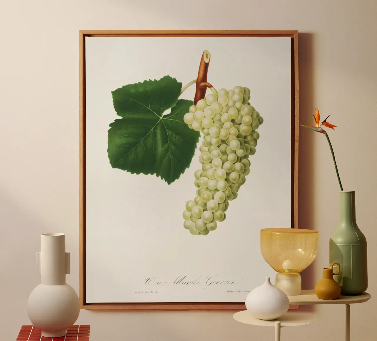 White Grape Vintage Botanical Illustration Print canvas by Pretty Flowers Vintage Botanicals