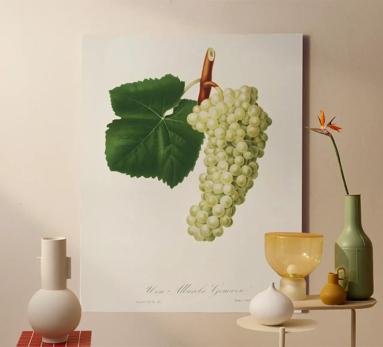 White Grape Vintage Botanical Illustration Print canvas by Pretty Flowers Vintage Botanicals