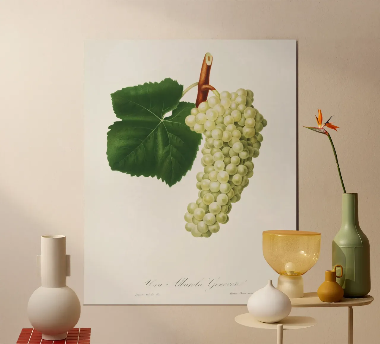 White Grape Vintage Botanical Illustration Print carta hahnemühle da Pretty Flowers Vintage Botanicals