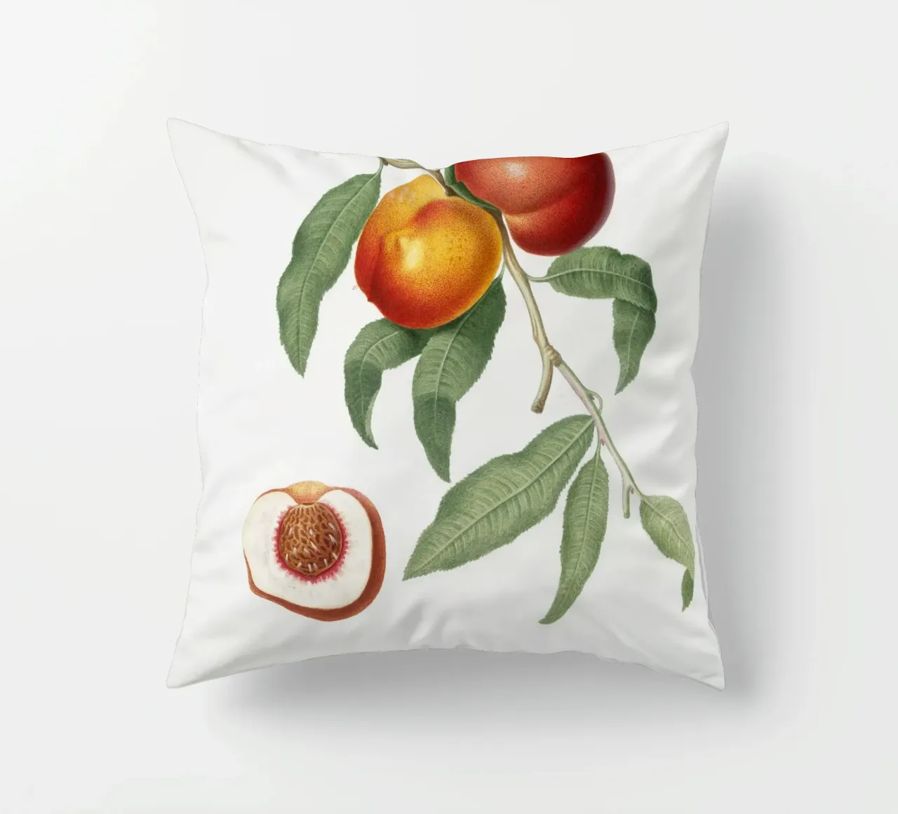 Peach Fruit VIntage botanical illustration cuscino da Pretty Flowers Vintage Botanicals