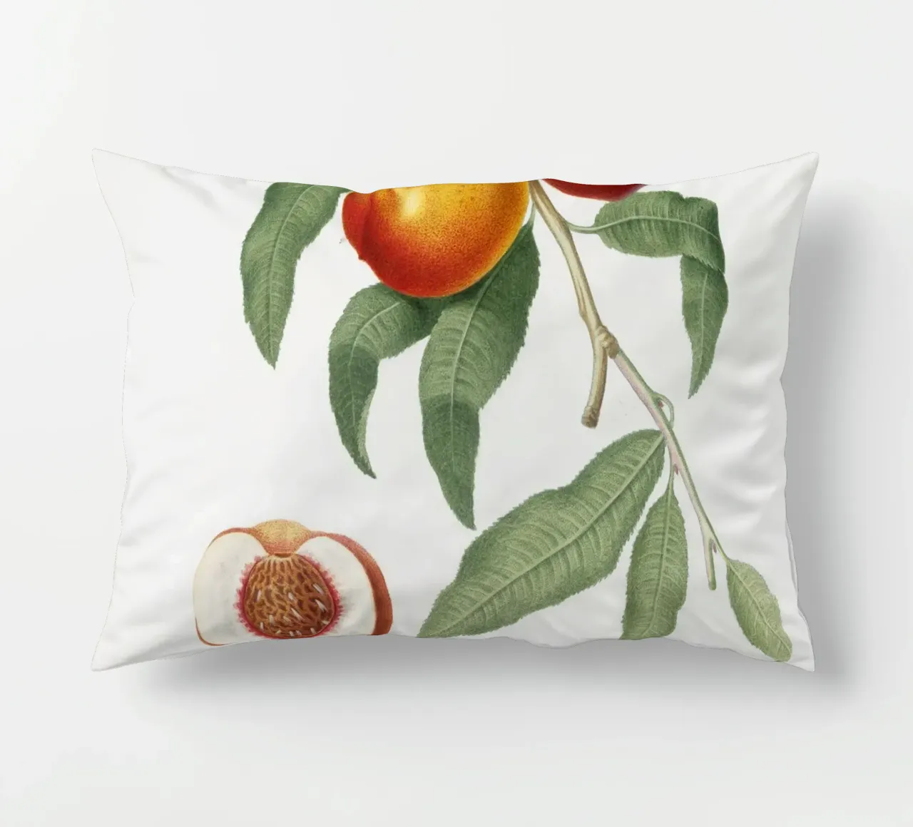 Peach Fruit VIntage botanical illustration cuscino da Pretty Flowers Vintage Botanicals