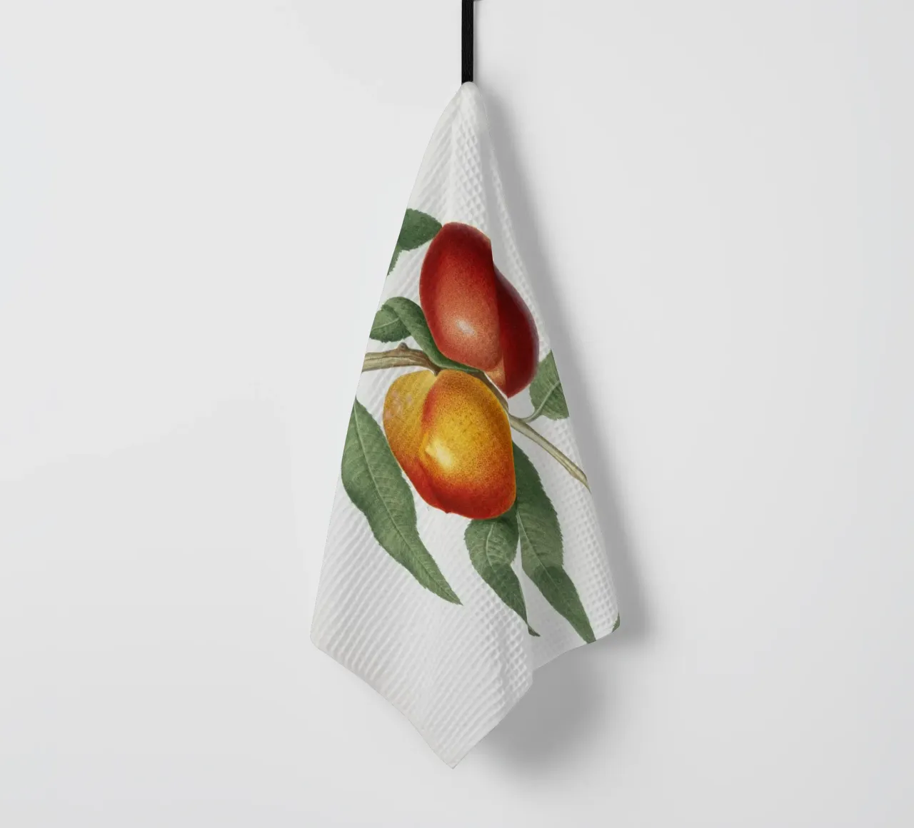 Peach Fruit VIntage botanical illustration torchon de Pretty Flowers Vintage Botanicals