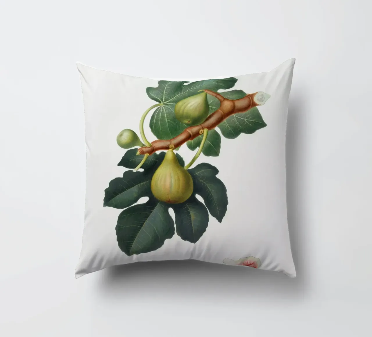 Fig Fruit and Leaves Botanical Illustration cuscino da Pretty Flowers Vintage Botanicals