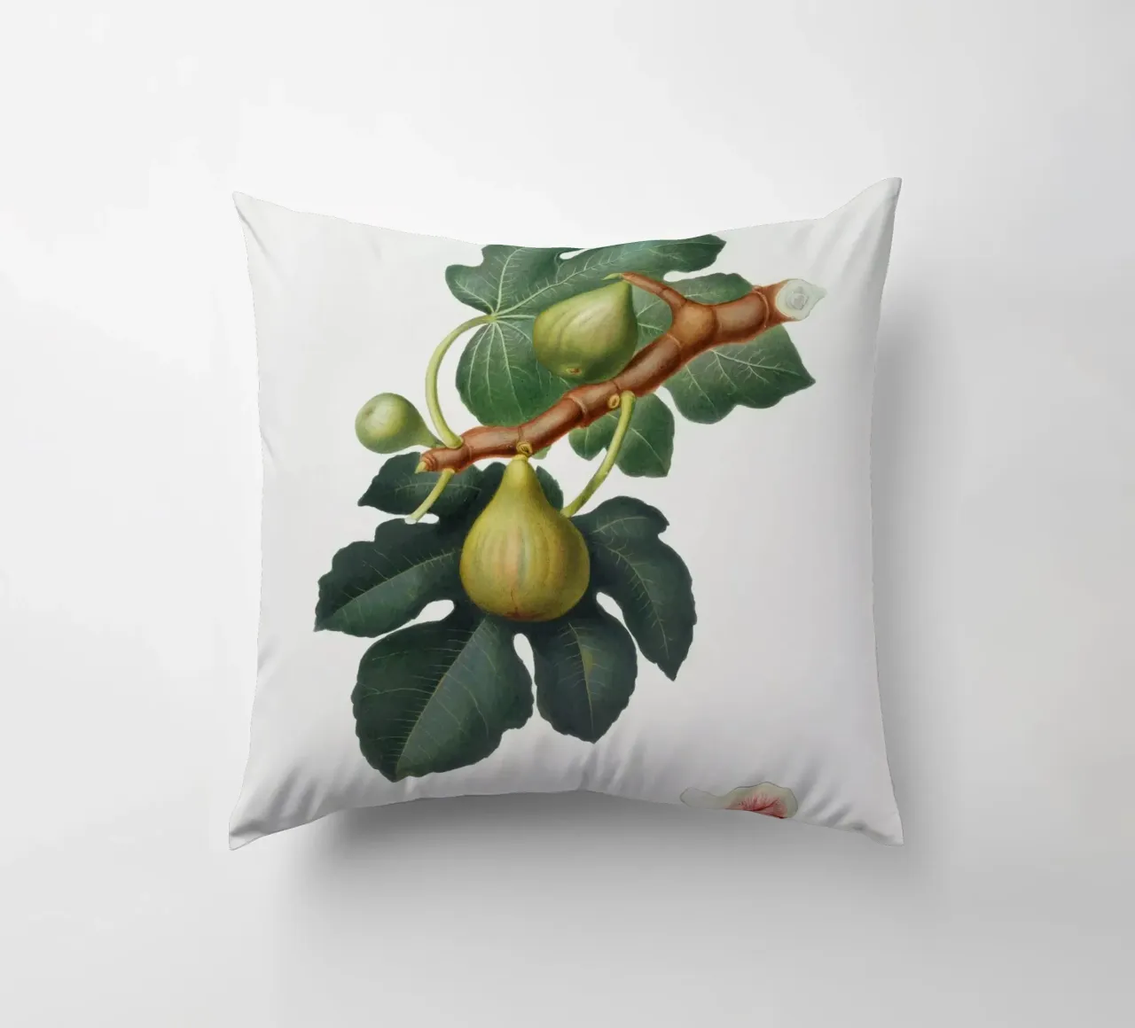 Fig Fruit and Leaves Botanical Illustration cuscino da Pretty Flowers Vintage Botanicals
