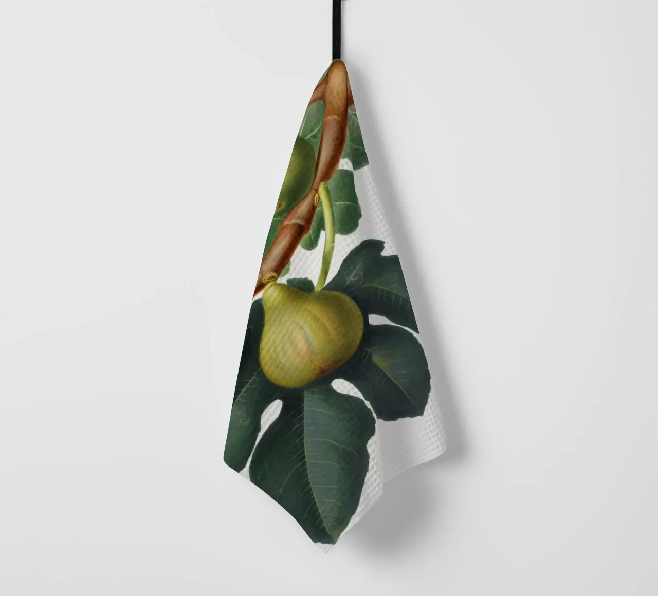 Fig Fruit and Leaves Botanical Illustration canovaccio da cucina da Pretty Flowers Vintage Botanicals