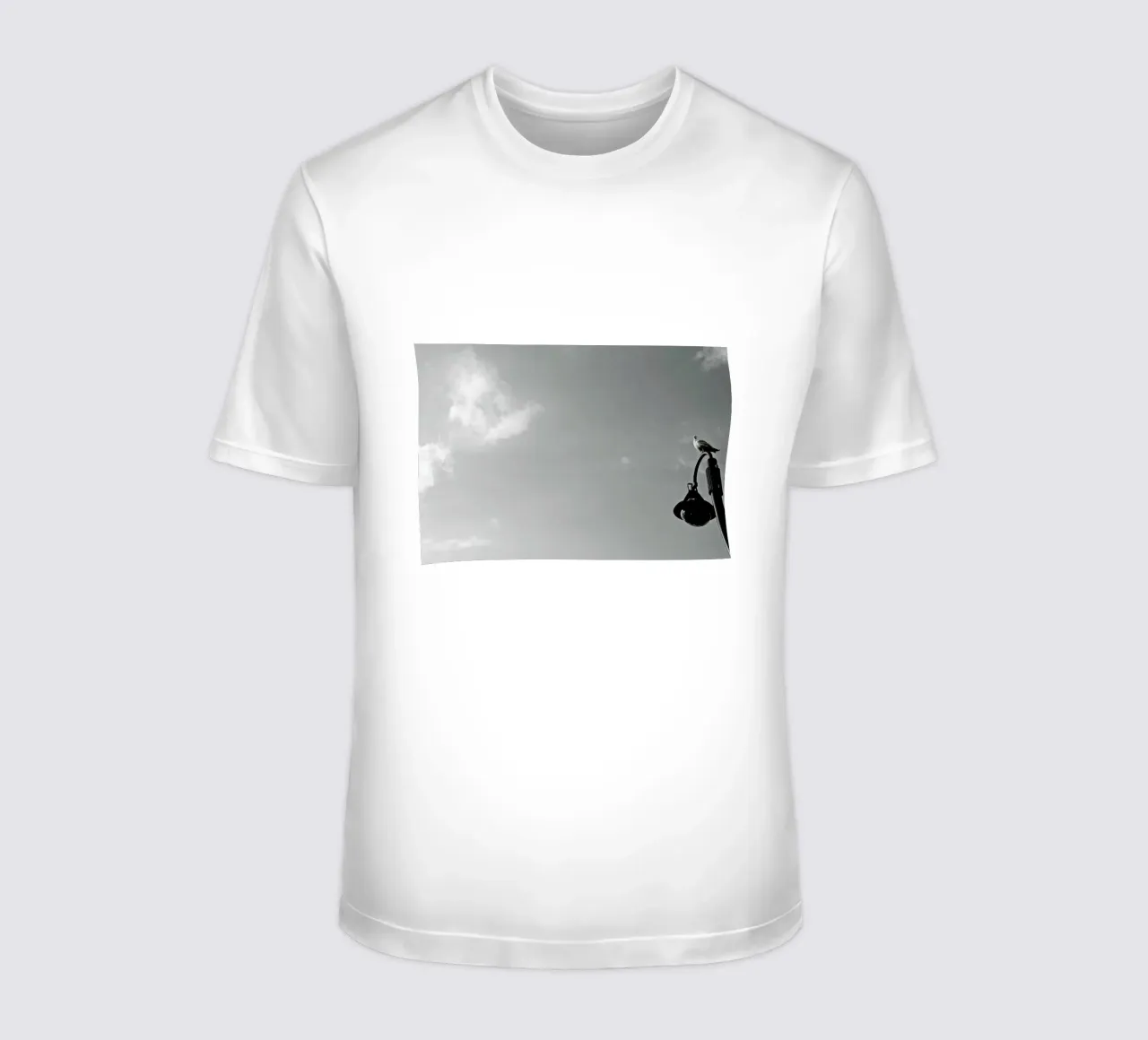 Seagull on lantern t-shirt da Nur Mut
