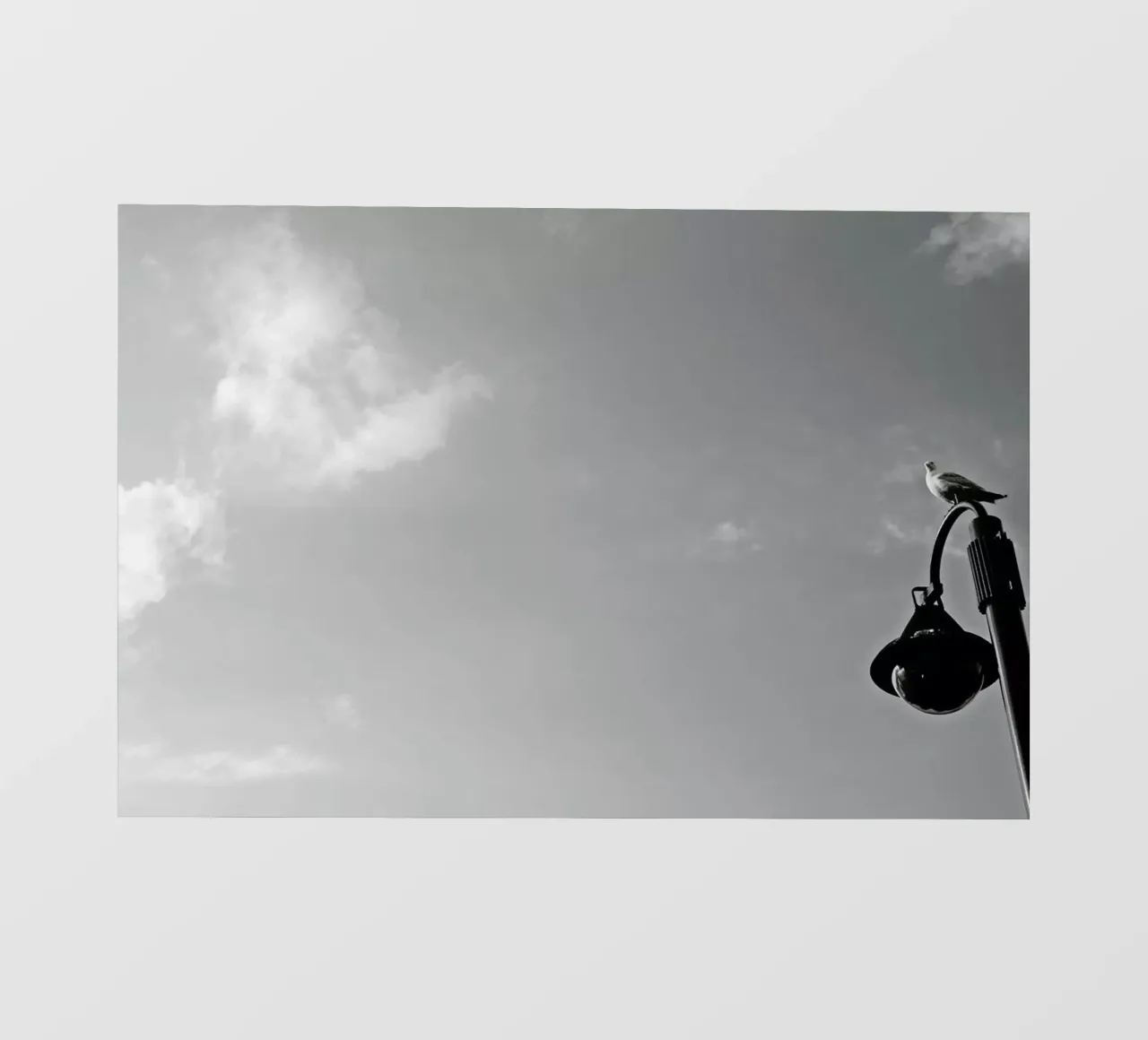 Seagull on lantern telo in pvc da Nur Mut