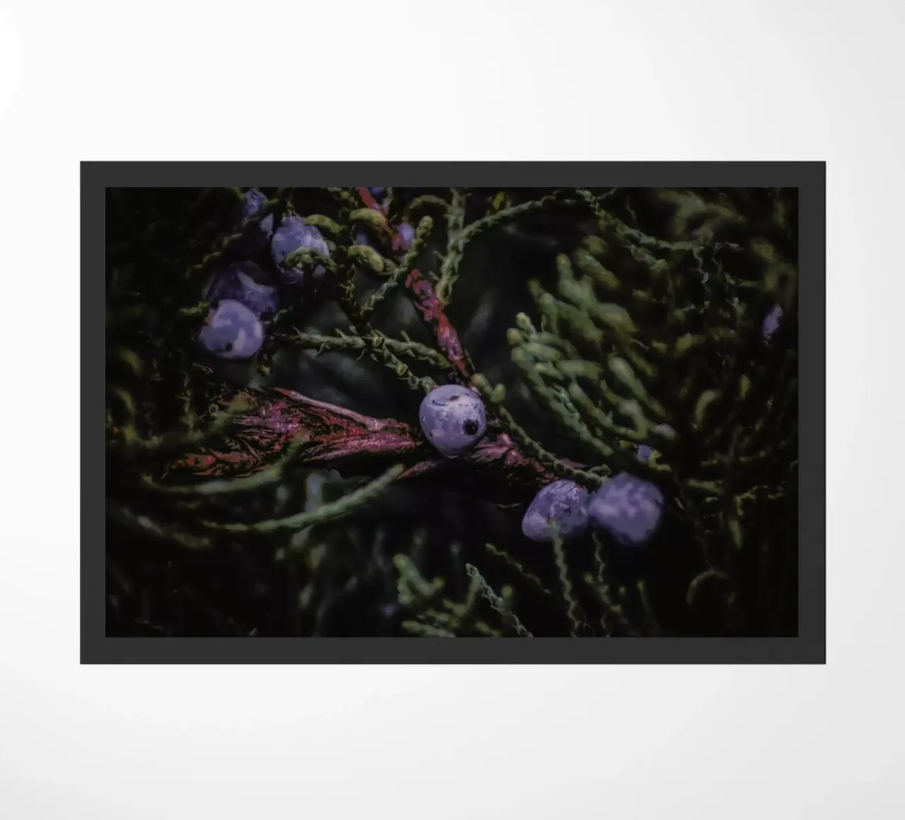 Fruits Of Autumn 4 zerbino da Nur Mut