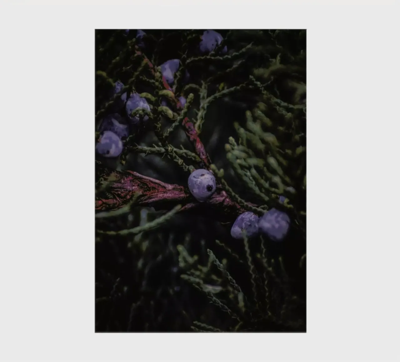 Fruits Of Autumn 4 notebook by Nur Mut