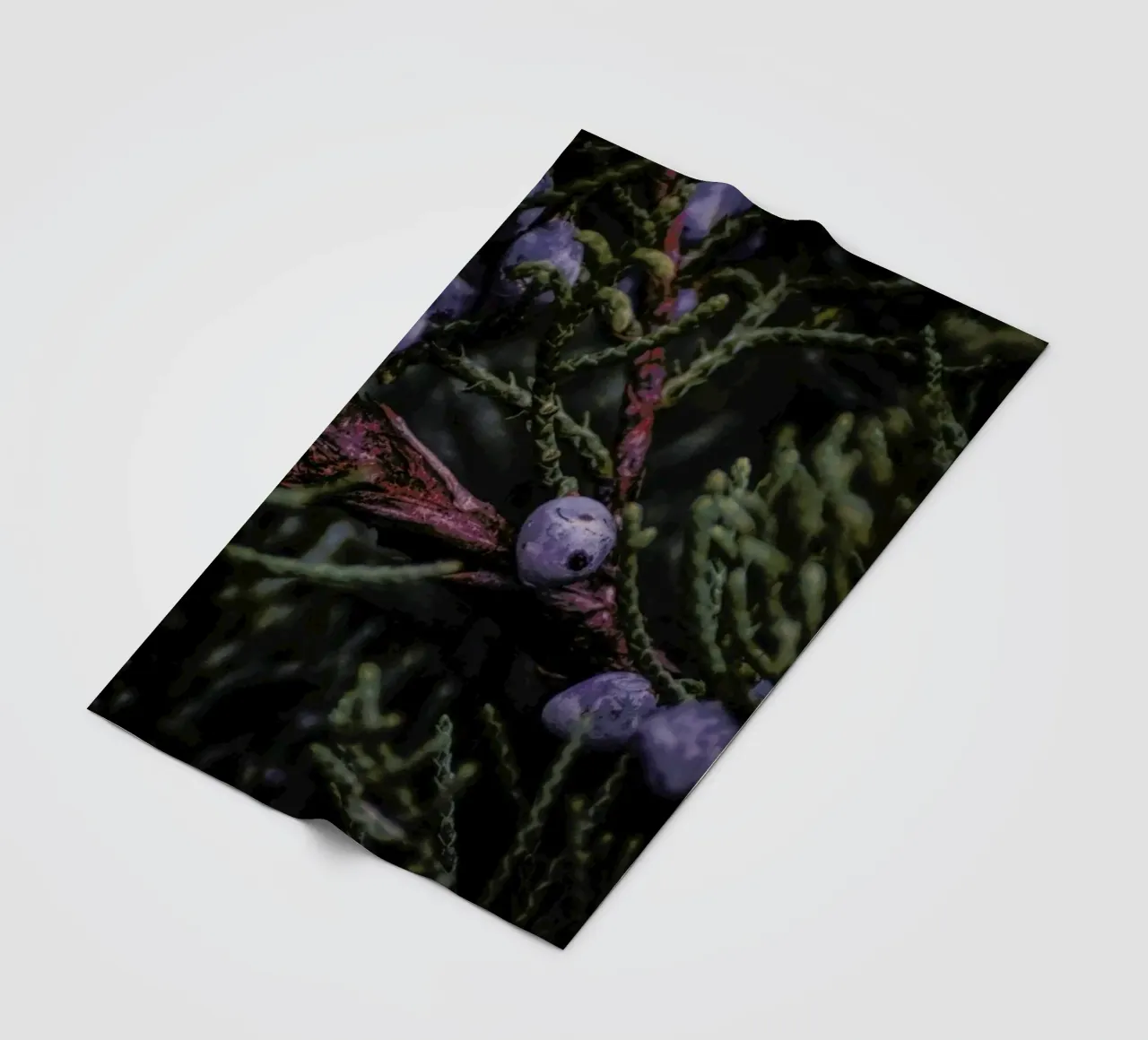 Fruits Of Autumn 4 coperta in pile da Nur Mut