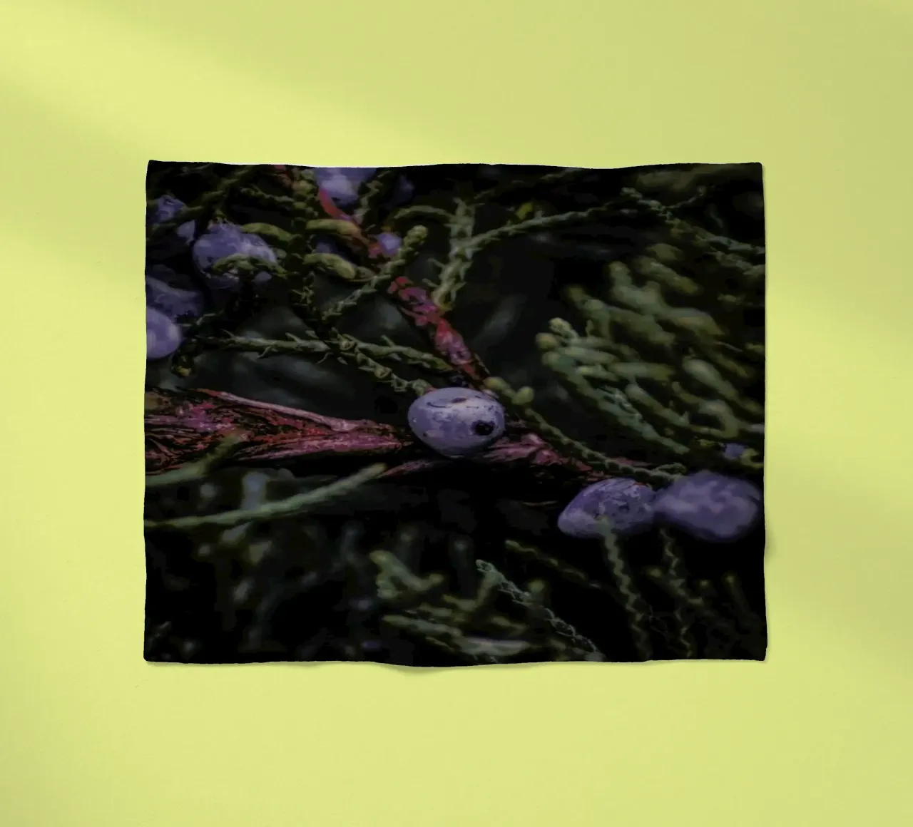 Fruits Of Autumn 4 coperta in pile da Nur Mut