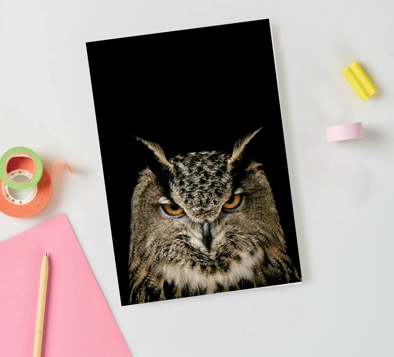 Tawny Owl notebook by Natural Kingdom