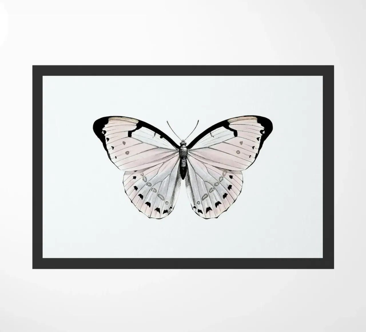 Papillion Rose zerbino da Monika Strigel