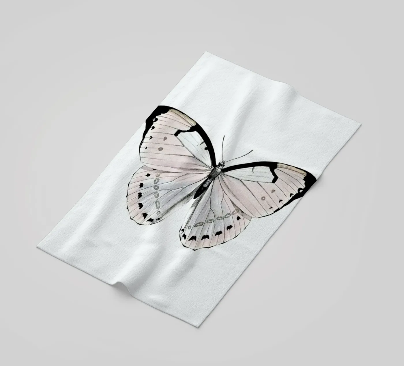Papillion Rose telo mare da Monika Strigel