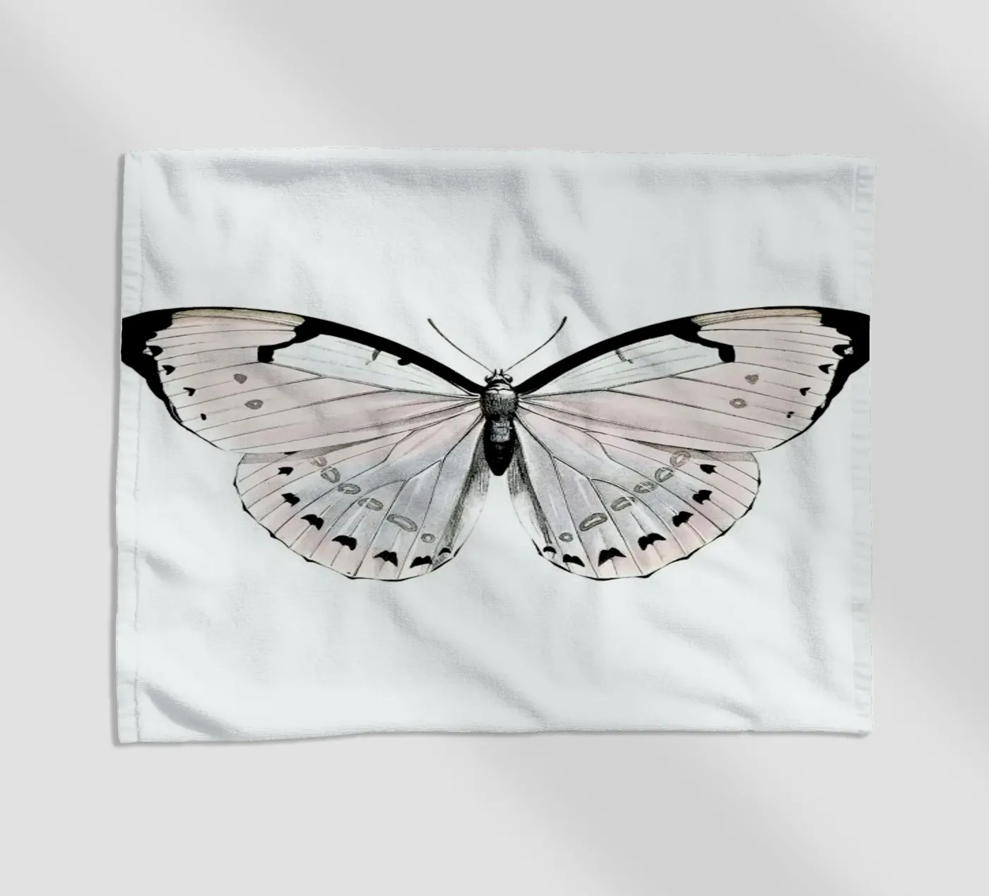 Papillion Rose telo mare da Monika Strigel