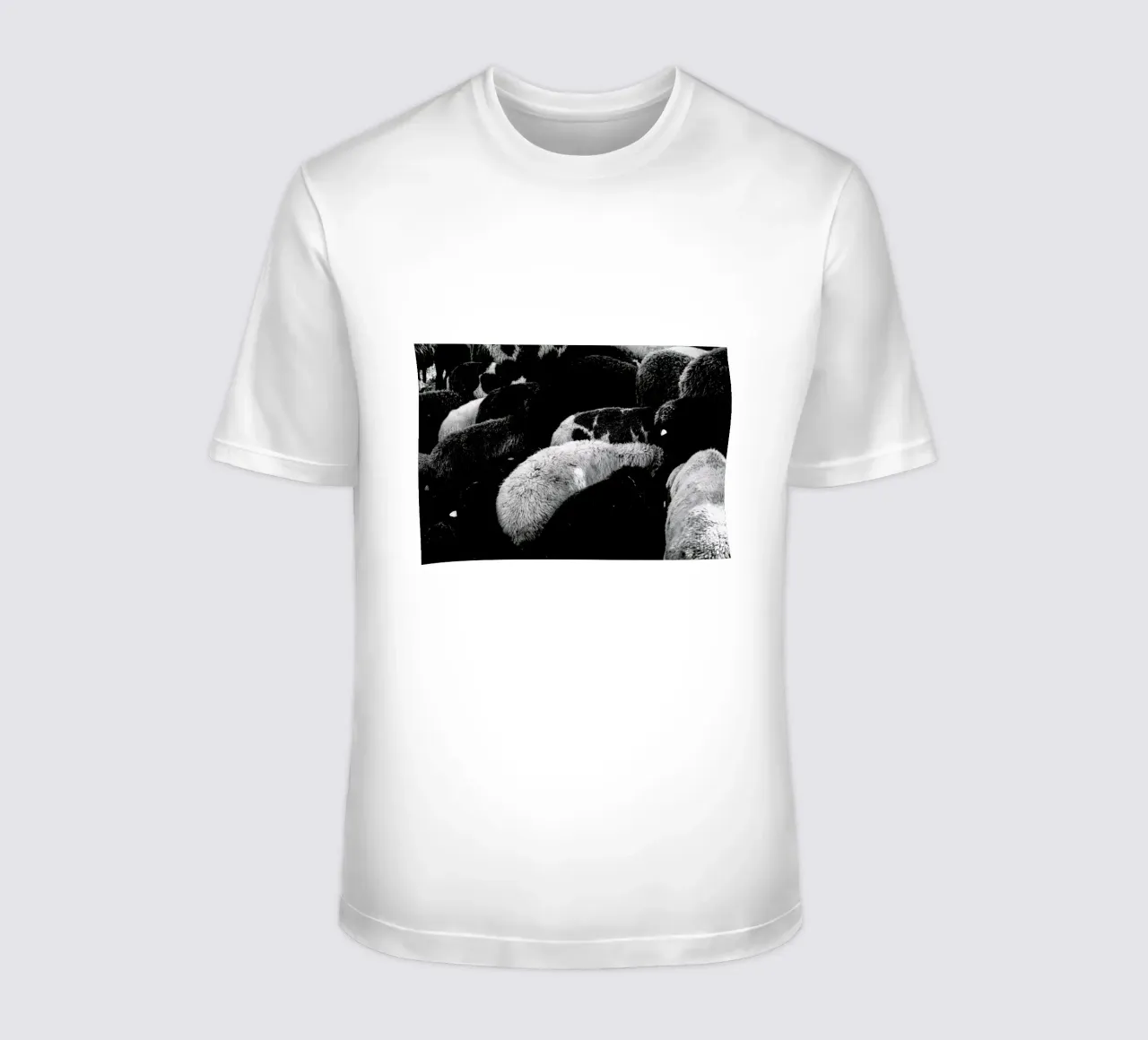 DSC1711 t-shirt da Dustin Janko
