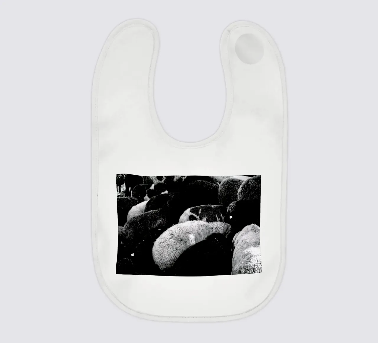 DSC1711 bavaglino da Dustin Janko