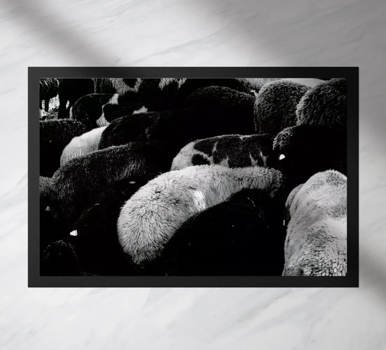 DSC1711 zerbino da Dustin Janko