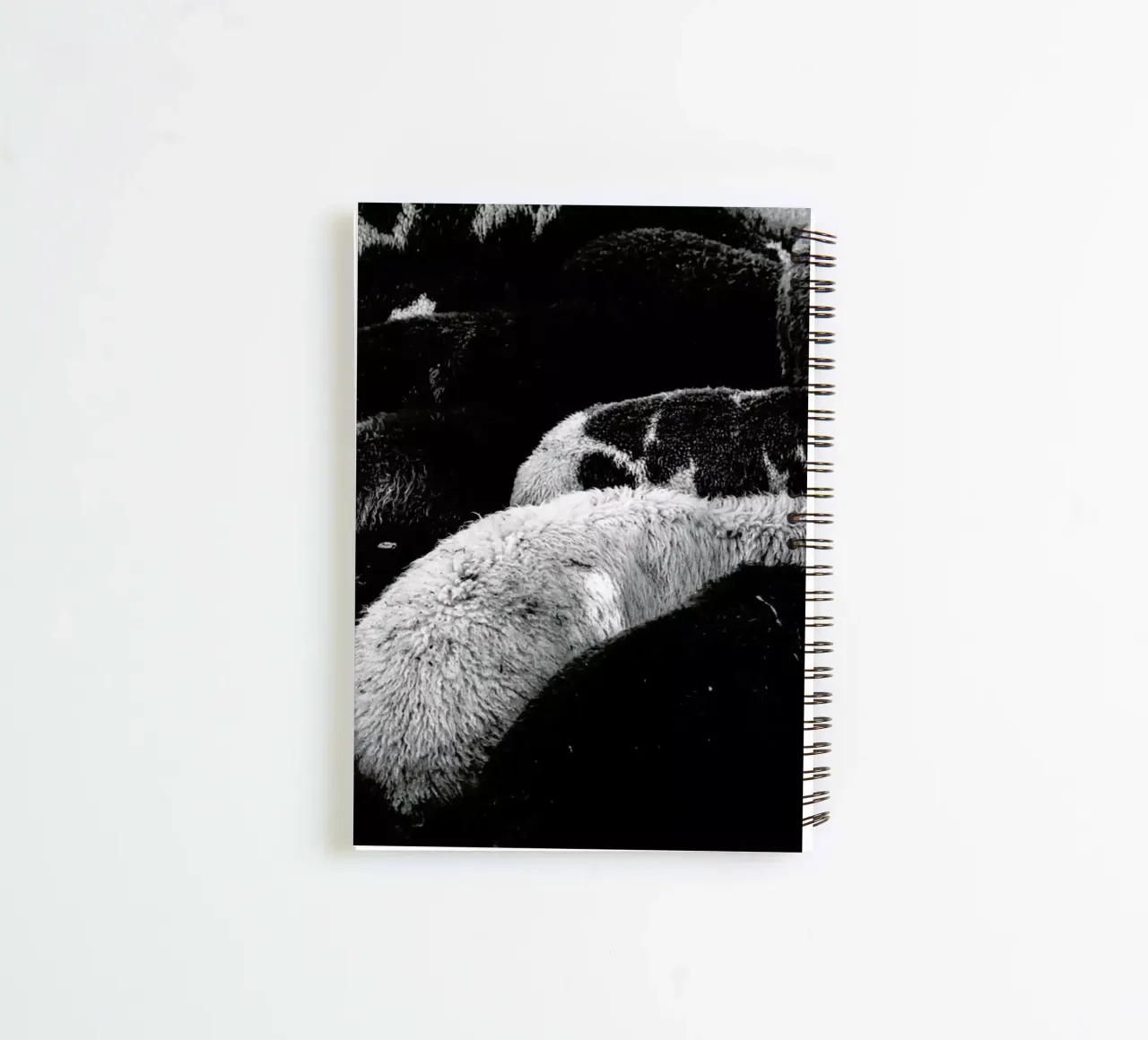 DSC1711 spiral notebook by Dustin Janko