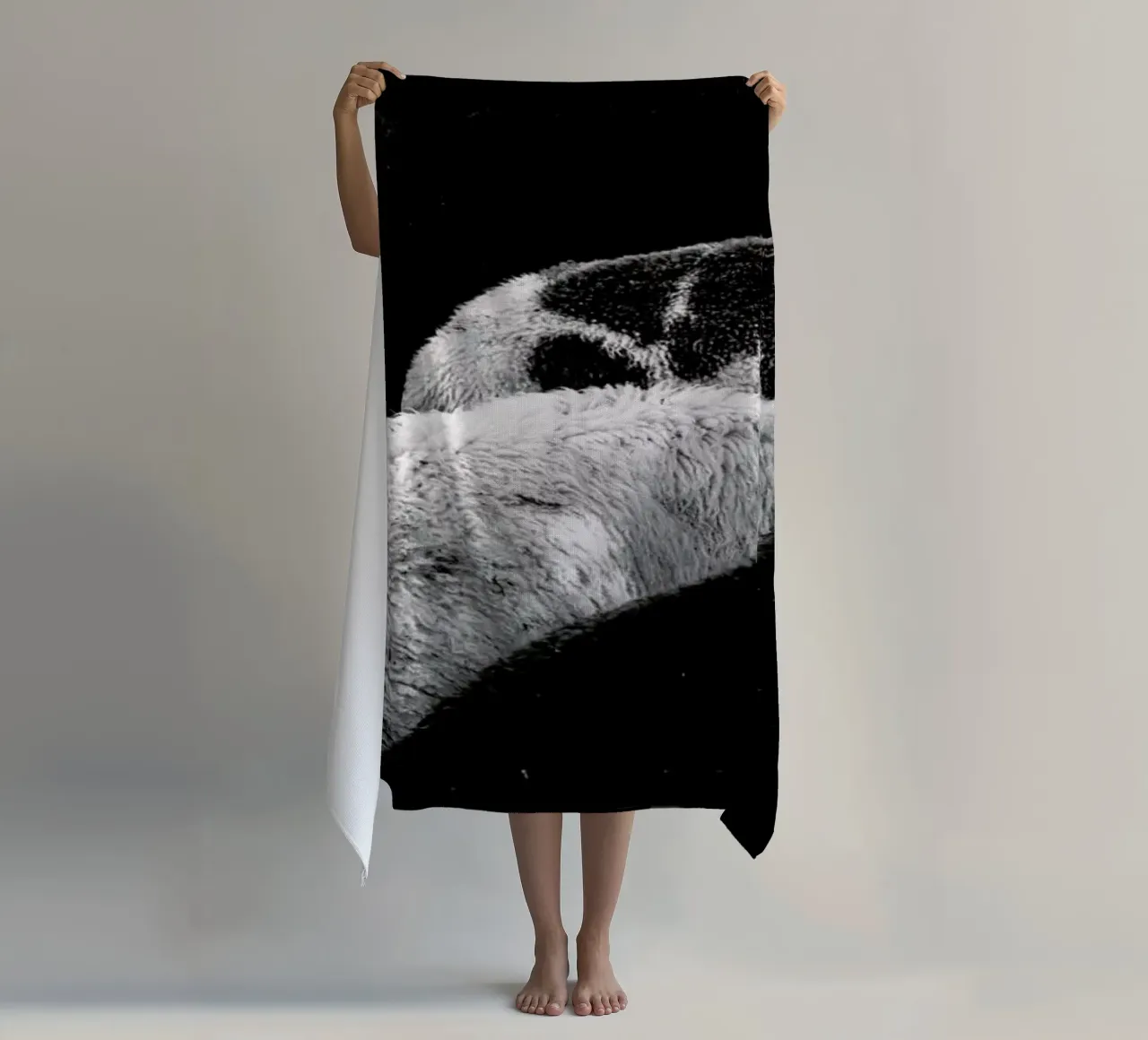 DSC1711 telo mare da Dustin Janko