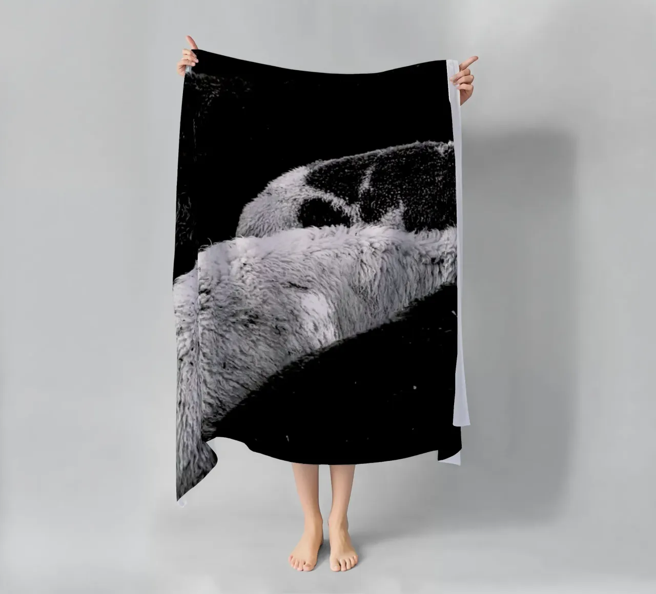 DSC1711 telo mare da Dustin Janko