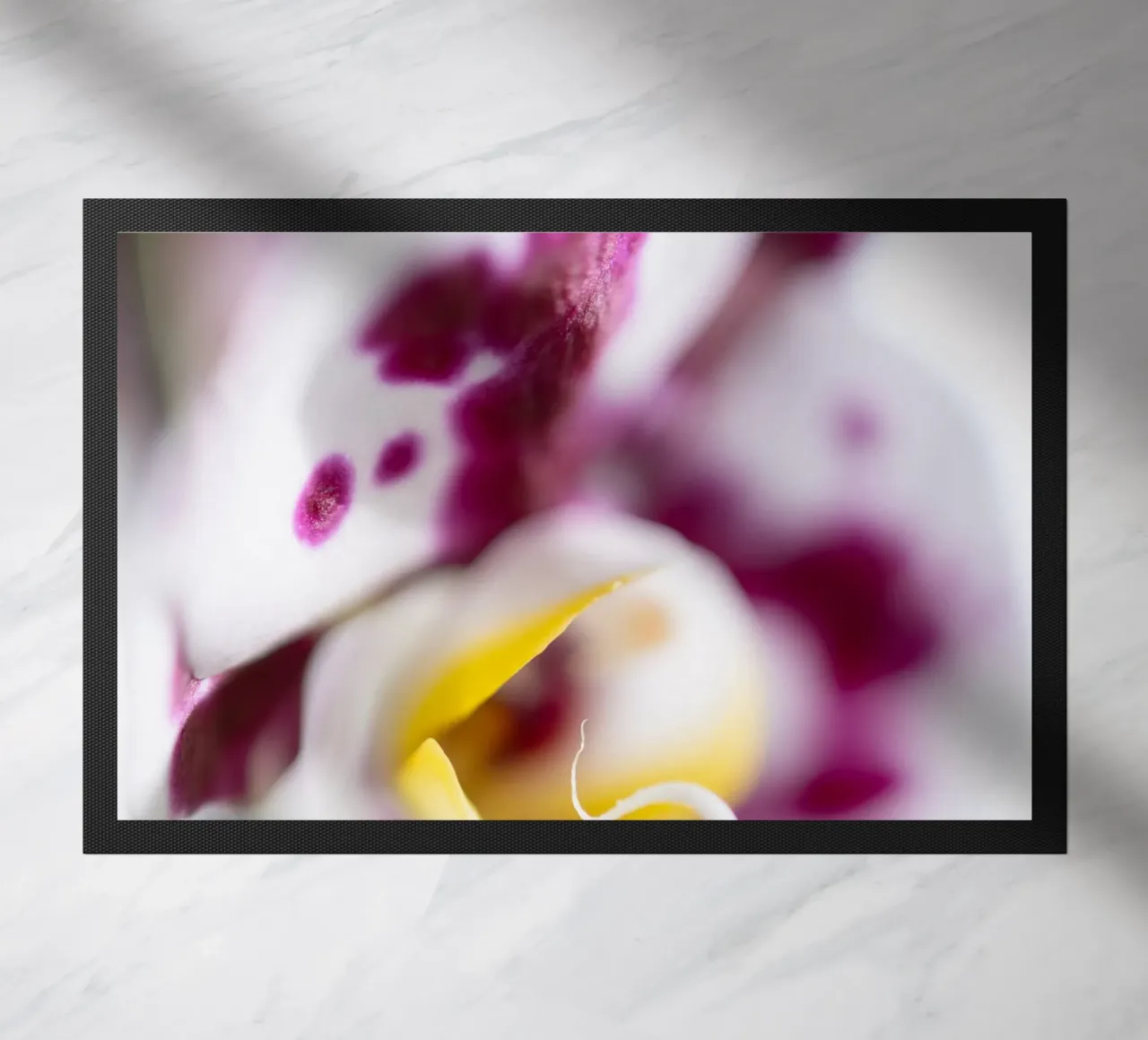 Orchidea #1 zerbino da rafael campezato