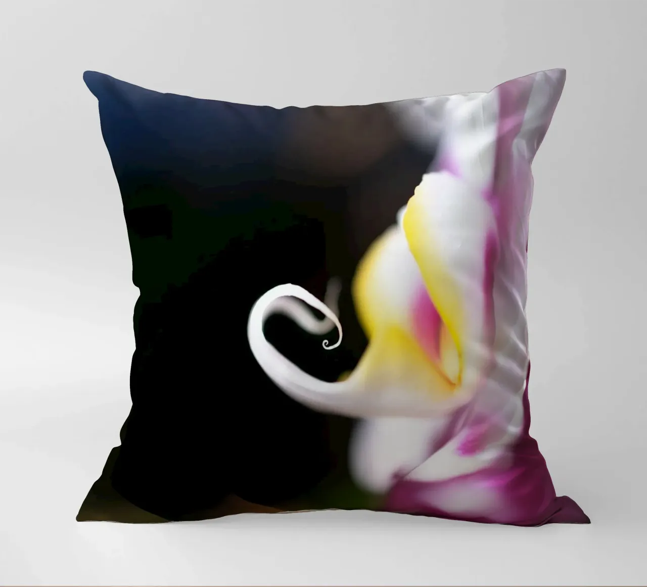 Orchidea #2 cuscino da rafael campezato