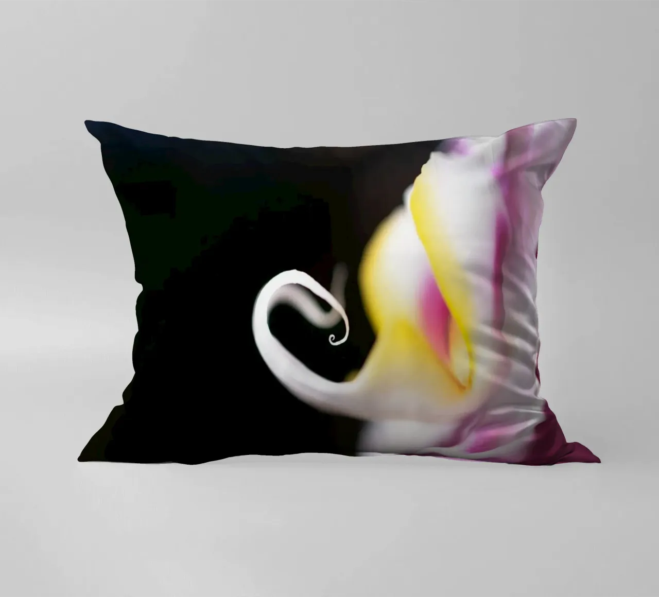 Orchidea #2 cuscino da rafael campezato