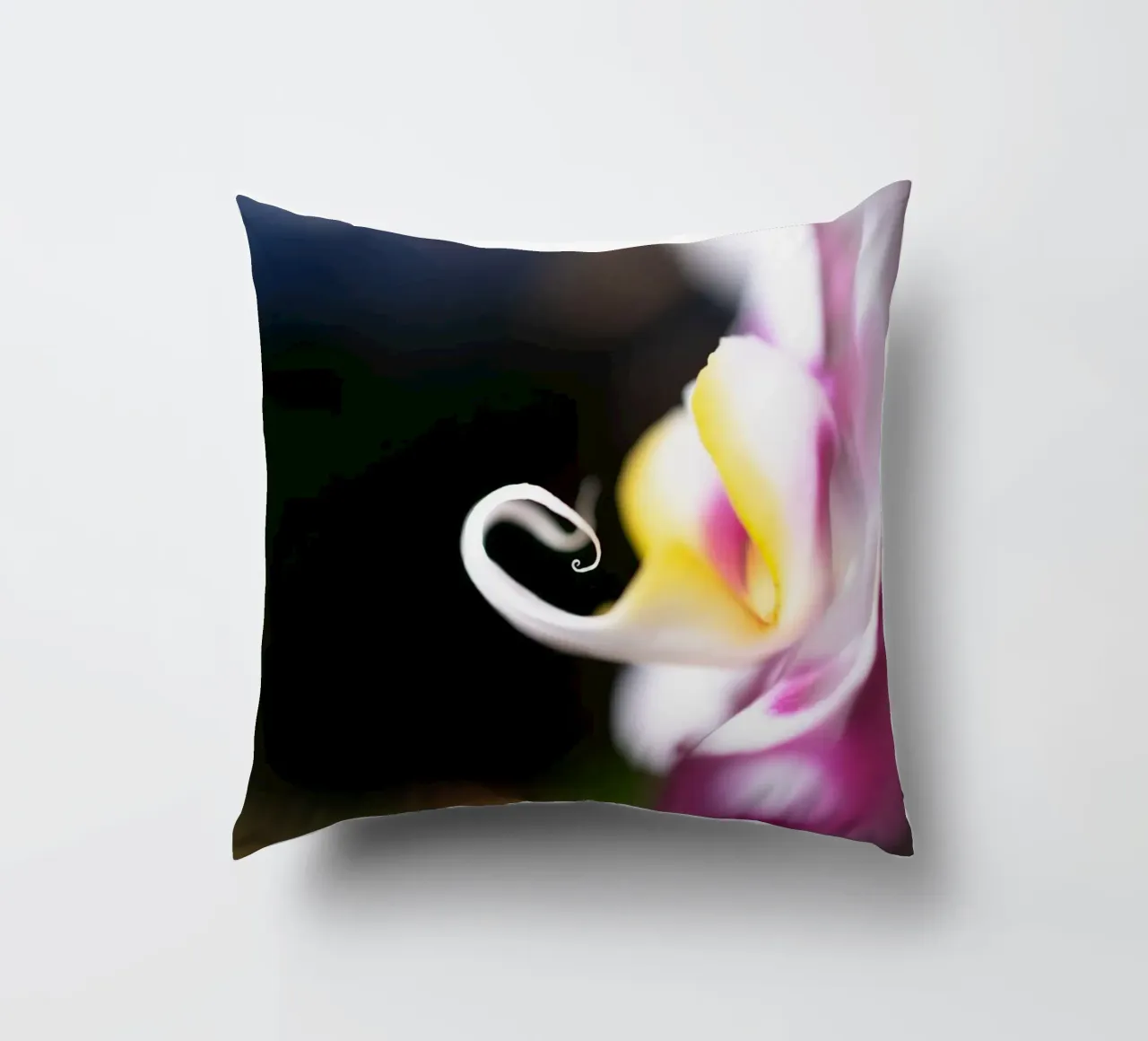 Orchidea #2 cuscino da rafael campezato