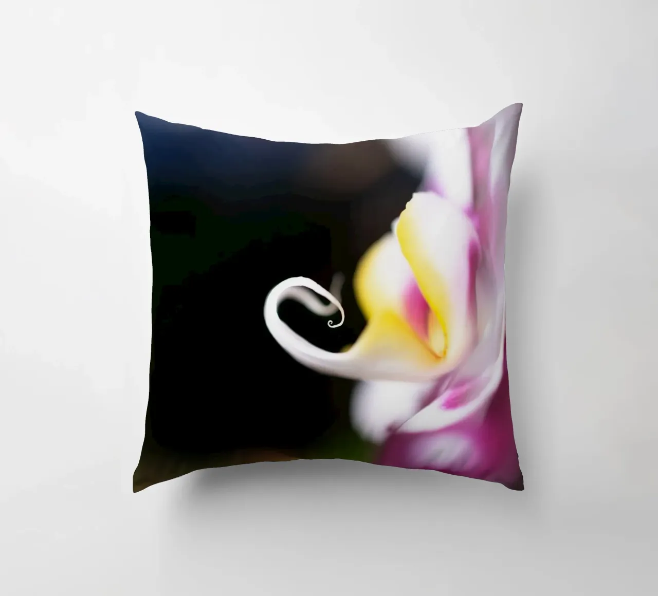 Orchidea #2 cuscino da rafael campezato