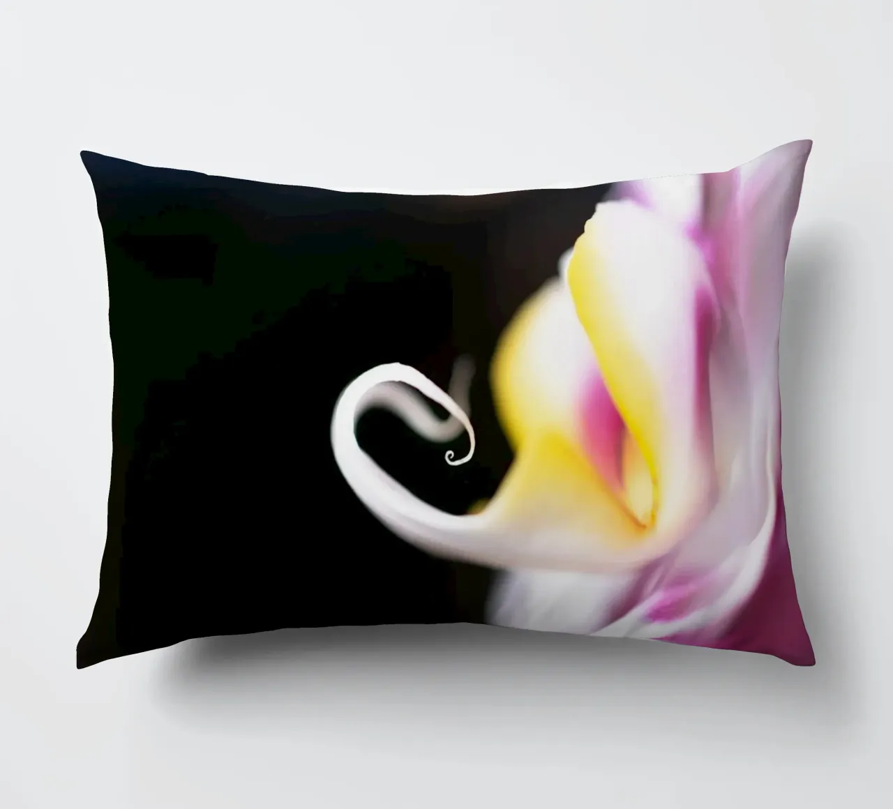 Orchidea #2 cuscino da rafael campezato